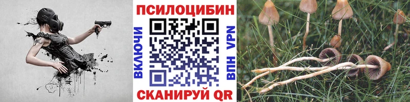 Псилоцибиновые грибы прущие грибы  даркнет сайт  дарк нет состав  Черноголовка 